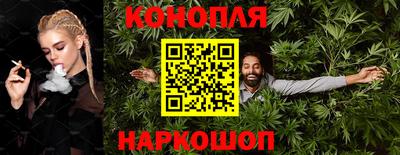 крисы Будённовск