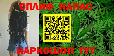 крисы Будённовск